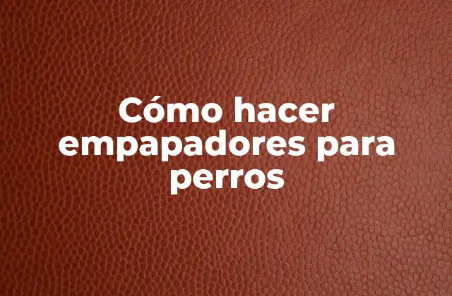 Cómo Hacer Empapadores para Perros