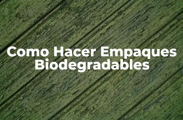 Como Hacer Empaques Biodegradables 2 ¿Qué son los Empaques Biodegradables?