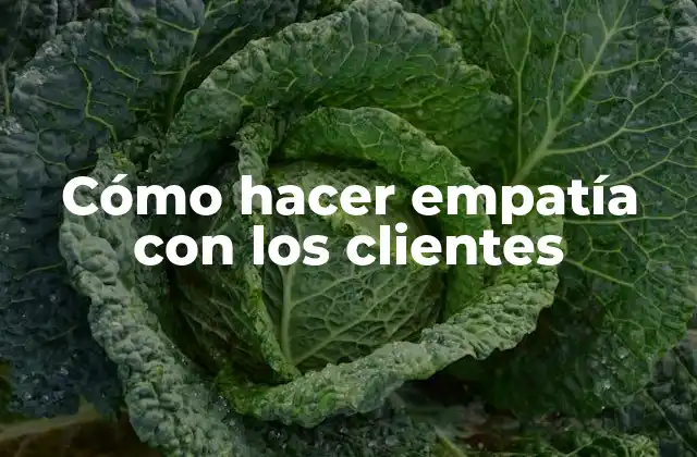 Cómo Hacer Empatía con los Clientes