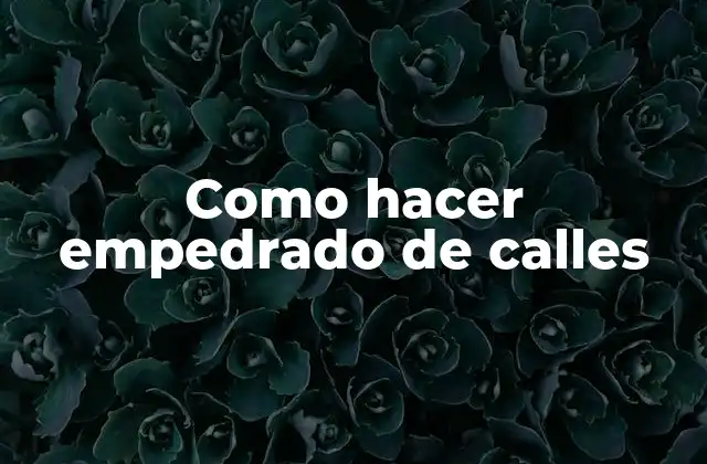 Como Hacer Empedrado de Calles