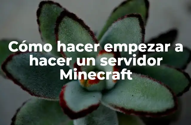 ¿Qué es un servidor Minecraft y para qué sirve?