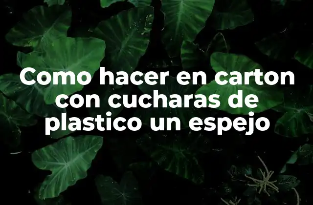Como Hacer en Carton con Cucharas de Plastico un Espejo