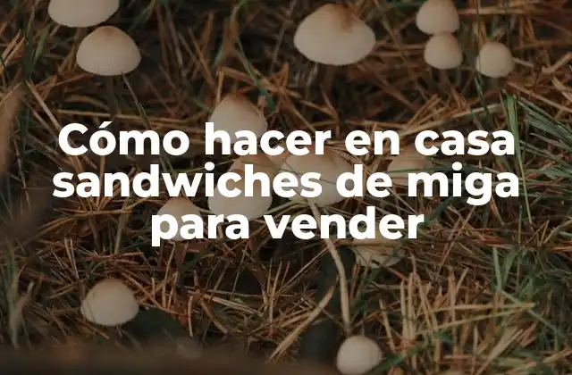 Cómo Hacer en Casa Sandwiches de Miga para Vender