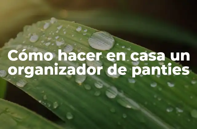 Cómo Hacer en Casa un Organizador de Panties