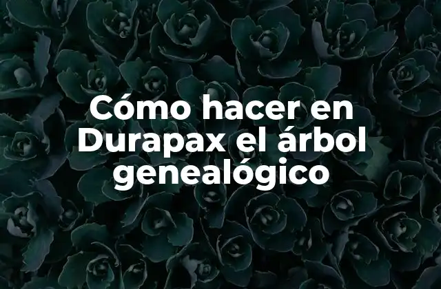 Cómo Hacer en Durapax el Árbol Genealógico