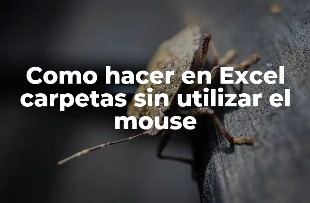 Como Hacer en Excel Carpetas sin Utilizar el Mouse
