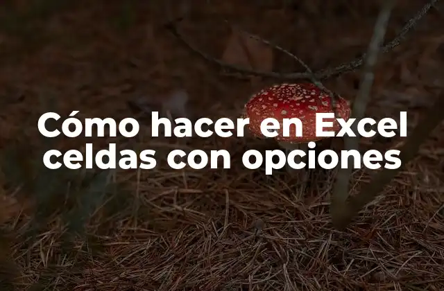 Cómo Hacer en Excel Celdas con Opciones