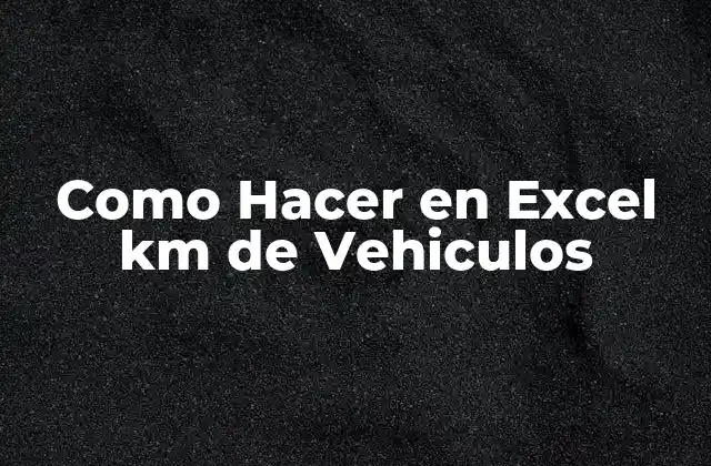 Como Hacer en Excel Km de Vehiculos