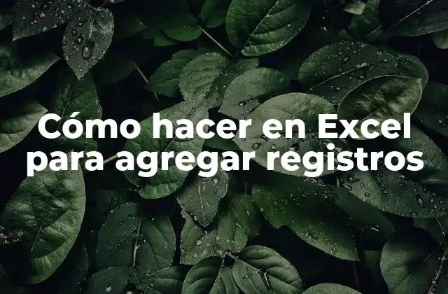 Cómo Hacer en Excel para Agregar Registros
