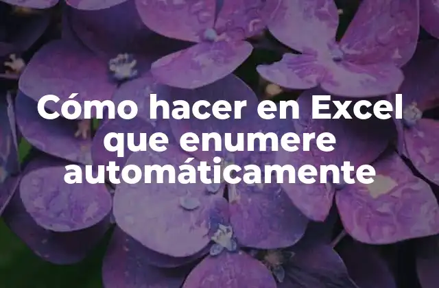 Cómo Hacer en Excel que Enumere Automáticamente