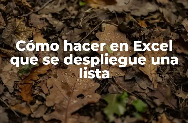 Cómo Hacer en Excel que Se Despliegue una Lista