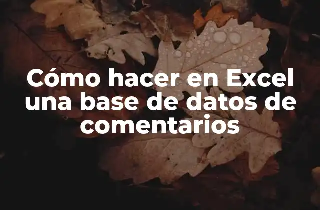 Cómo Hacer en Excel una Base de Datos de Comentarios