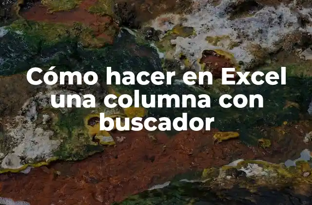 Cómo Hacer en Excel una Columna con Buscador