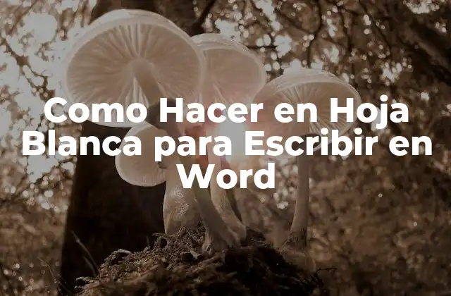 Como Hacer en Hoja Blanca para Escribir en Word