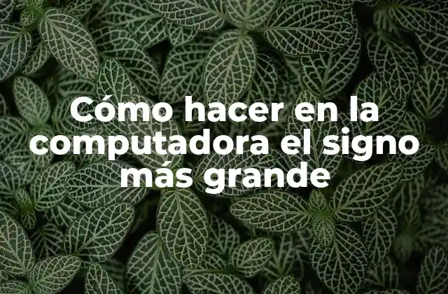 ¿Qué es el signo más grande y para qué sirve?