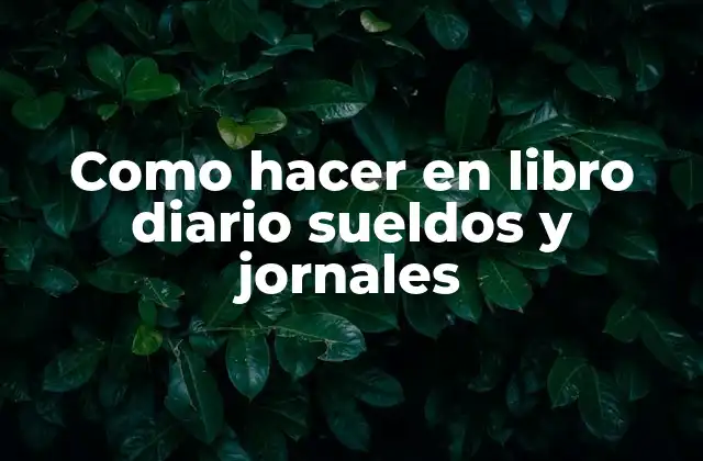 Como Hacer en Libro Diario Sueldos y Jornales