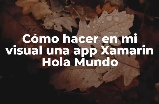 Cómo Hacer en Mi Visual una App Xamarin Hola Mundo 2 ¿Qué es Xamarin y para qué sirve?