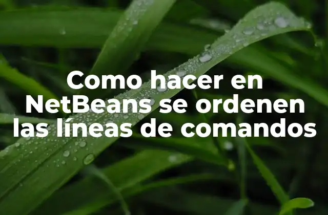 Como Hacer en Netbeans Se Ordenen las Líneas de Comandos