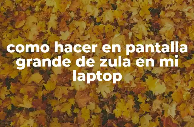 Como Hacer en Pantalla Grande de Zula en Mi Laptop