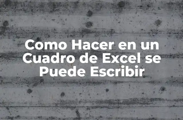Como Hacer en un Cuadro de Excel Se Puede Escribir