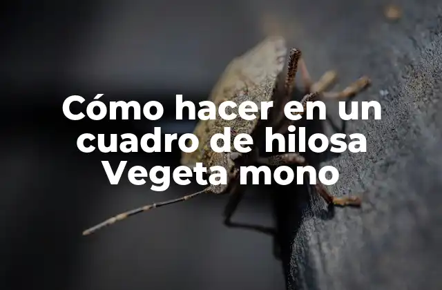 Cómo Hacer en un Cuadro de Hilosa Vegeta Mono
