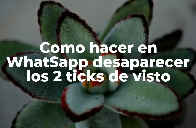Como Hacer en Whatsapp Desaparecer los 2 Ticks de Visto