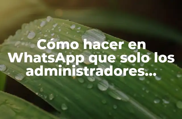 Cómo Hacer en Whatsapp que Solo los Administradores Escriban