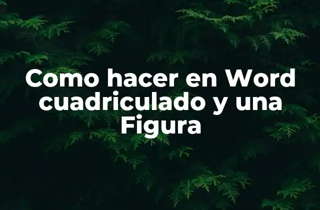 Como Hacer en Word Cuadriculado y una Figura