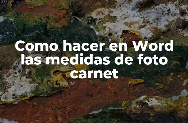 Como Hacer en Word las Medidas de Foto Carnet