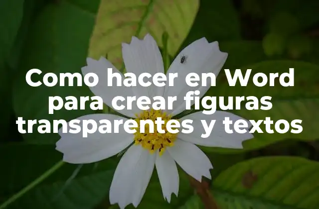 Como Hacer en Word para Crear Figuras Transparentes y Textos