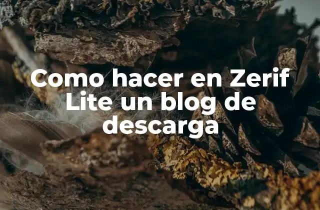 Como Hacer en Zerif Lite un Blog de Descarga