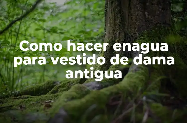 Como Hacer Enagua para Vestido de Dama Antigua