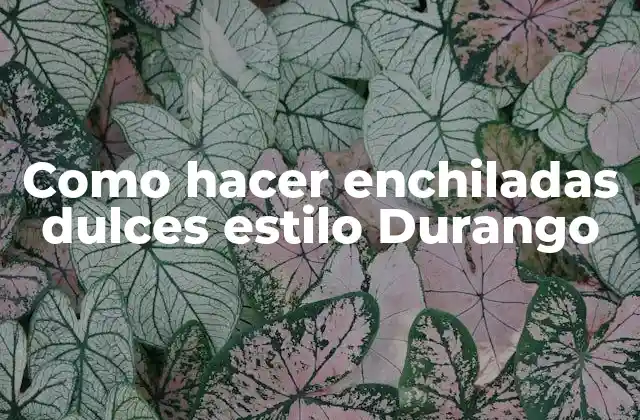 Como Hacer Enchiladas Dulces Estilo Durango