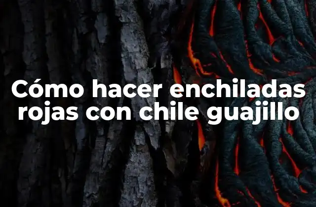 Cómo Hacer Enchiladas Rojas con Chile Guajillo