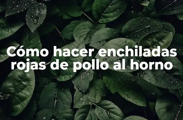 ¿Qué son las enchiladas rojas de pollo al horno?
