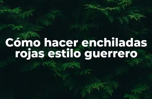 Cómo Hacer Enchiladas Rojas Estilo Guerrero 2 Enchiladas rojas estilo guerrero