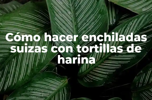 Cómo Hacer Enchiladas Suizas con Tortillas de Harina