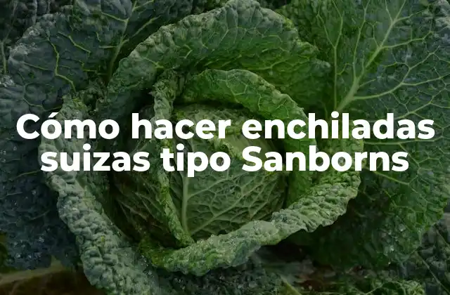 Cómo Hacer Enchiladas Suizas Tipo Sanborns 2 Enchiladas suizas tipo Sanborns