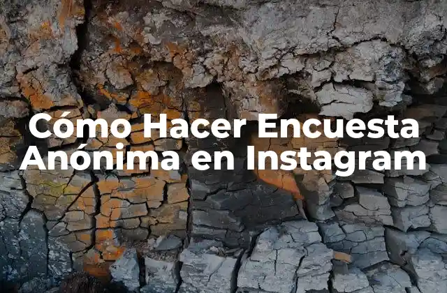 Cómo Hacer Encuesta Anónima en Instagram