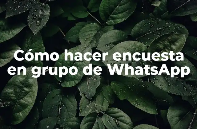 Cómo Hacer Encuesta en Grupo de Whatsapp