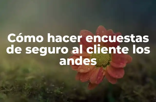 Cómo hacer encuestas de seguro al cliente los andes