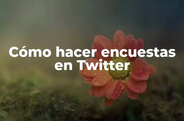Cómo Hacer Encuestas en Twitter