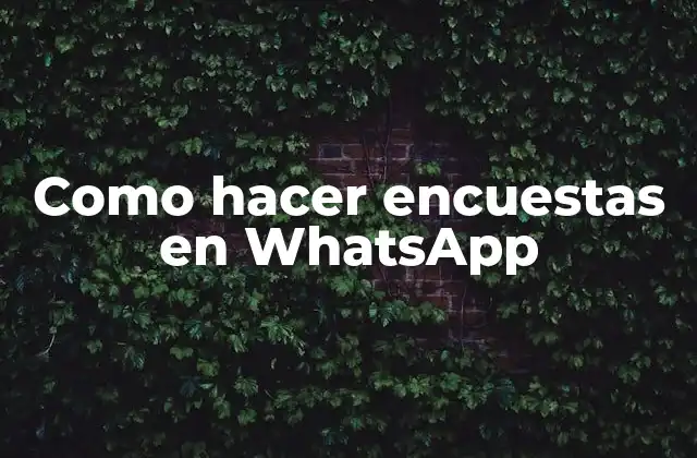 Como Hacer Encuestas en Whatsapp