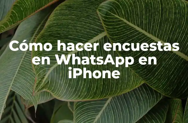 Cómo Hacer Encuestas en Whatsapp en Iphone