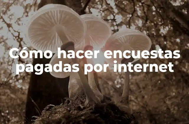 Cómo Hacer Encuestas Pagadas por Internet