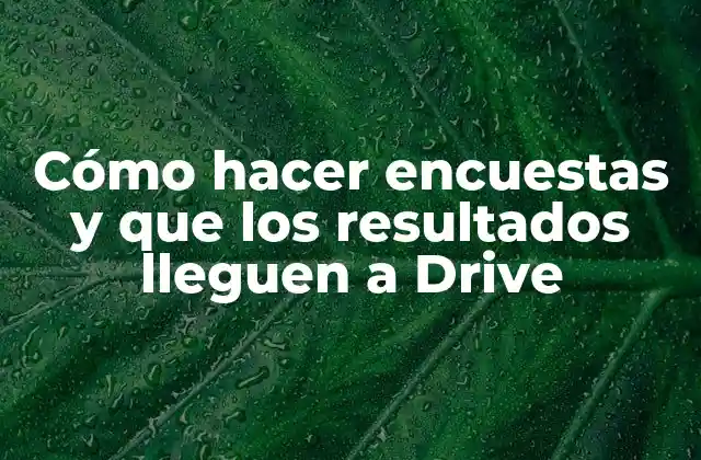 Cómo Hacer Encuestas y que los Resultados Lleguen a Drive