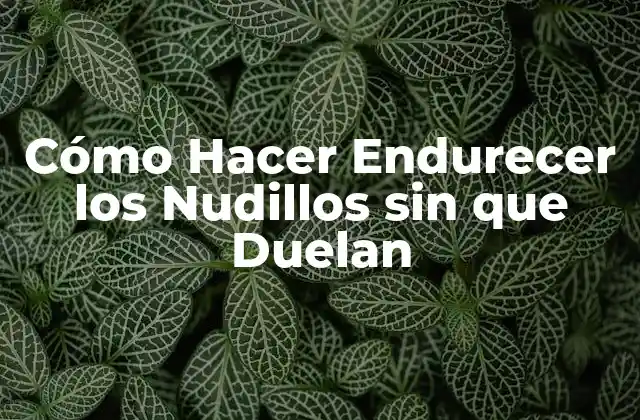 Cómo Hacer Endurecer los Nudillos sin que Duelan 2 Cómo Hacer Endurecer los Nudillos sin que Duelan