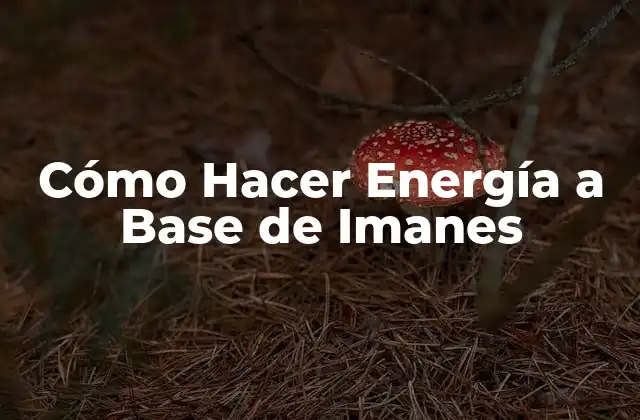 Cómo Hacer Energía a Base de Imanes 2 Cómo Hacer Energía a Base de Imanes