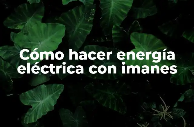Cómo Hacer Energía Eléctrica con Imanes