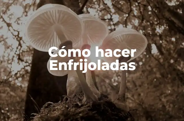 Cómo Hacer Enfrijoladas